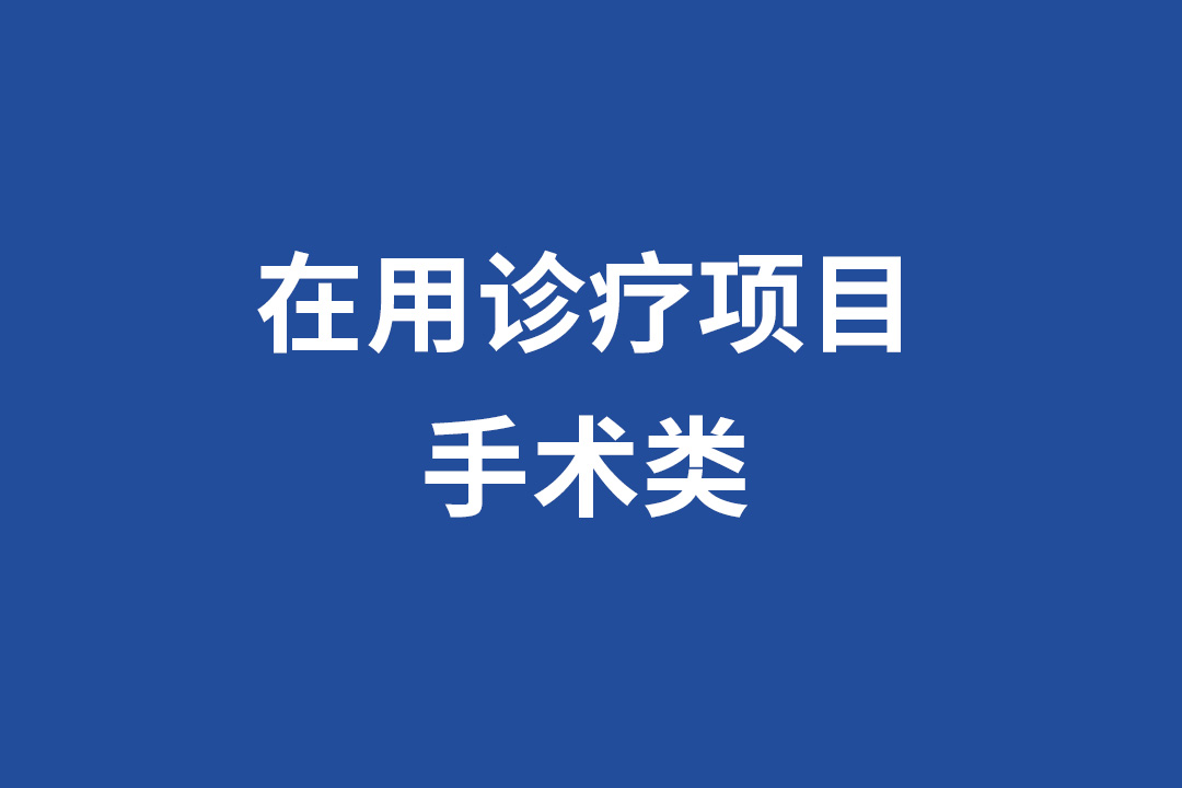 在用项目名称-手术类